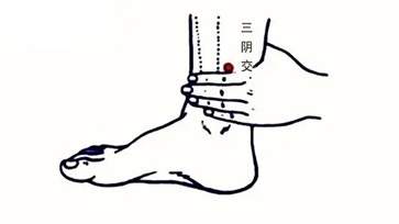 三阴焦位置图和作用 三阴焦定位方法